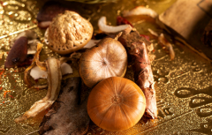 南京太乙堂中医院王爱红一招解决五型肥胖苦恼